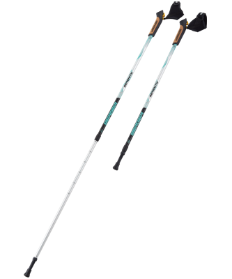 Скандинавские палки Serenity, 77-135 см, 2-секционные, серебристый/черный/мятный, для треккинга